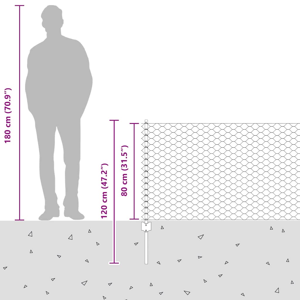 Zavarena žičana ograda 100 x 0,8 m (Š x V)