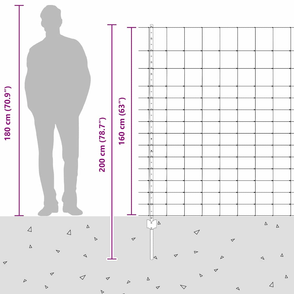Divlja Ograde s Stupovima 25 x 1,6 m (Š x V)