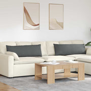 Jastučići za sofu 2 pcs Tamno siva 120 x 40 cm tkanina
