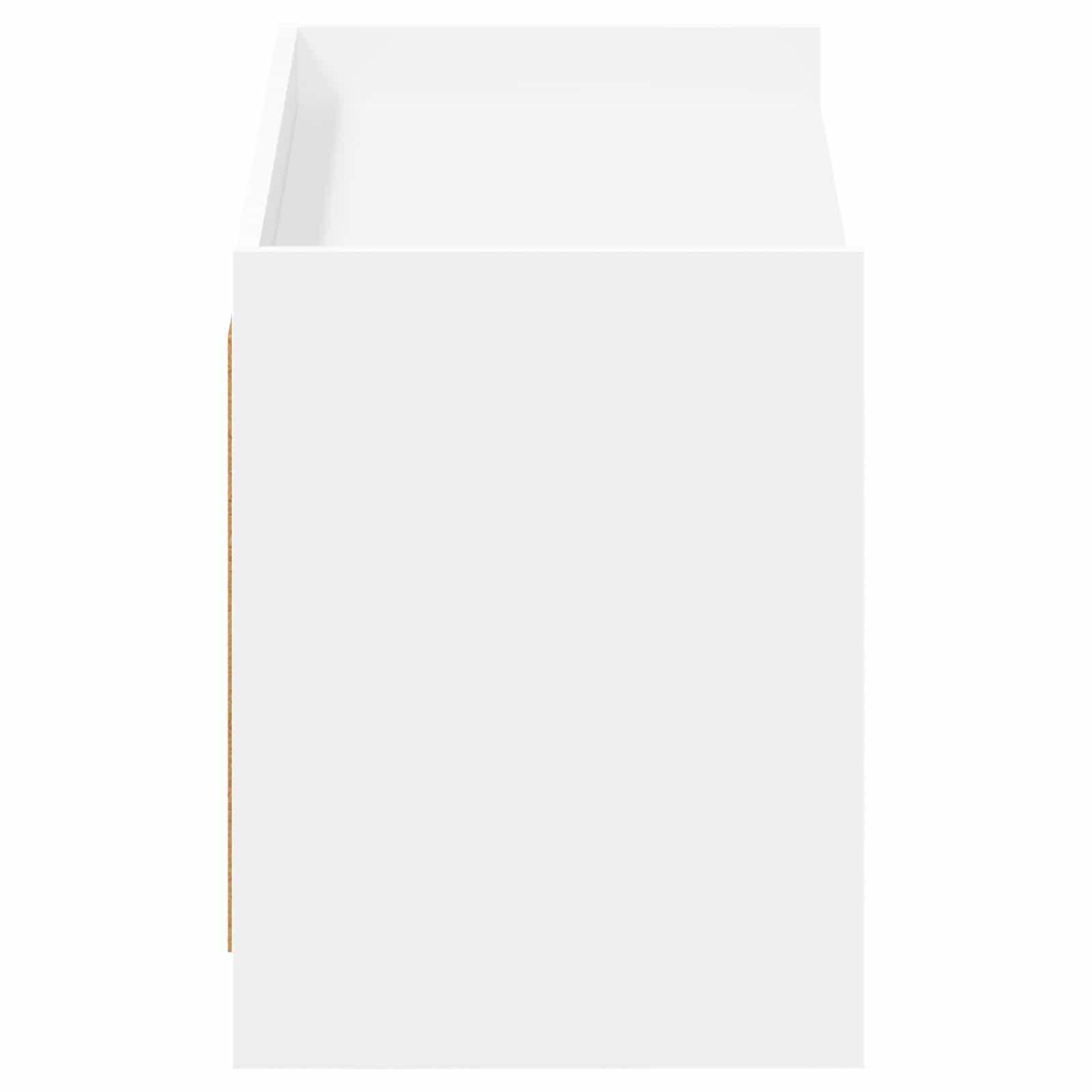Ormar za cipele Bijela 100 x 39,5 x 51 cm Konstruirano drvo