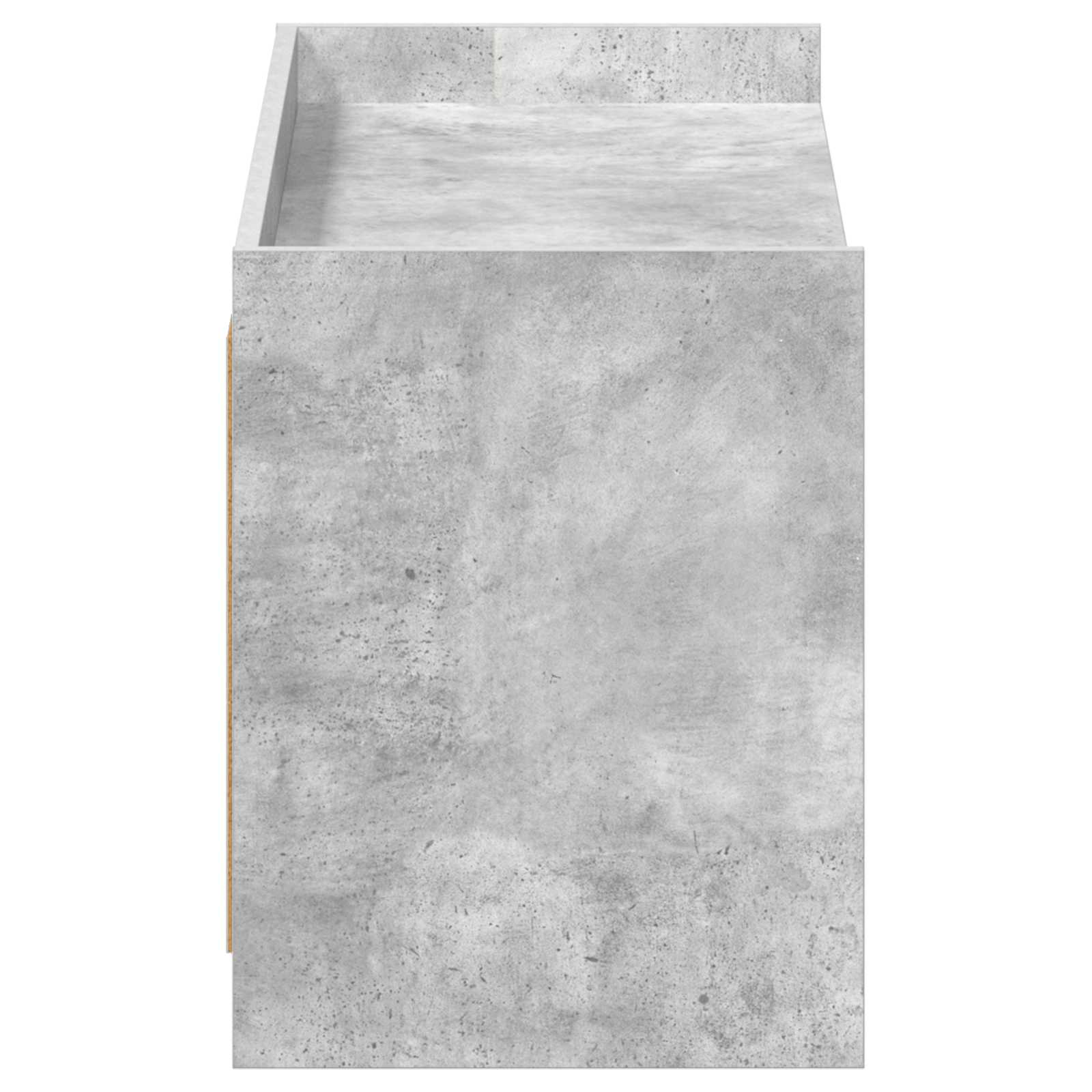 Ormar za cipele s pohranom Betonska siva 100 x 39,5 x 51 cm