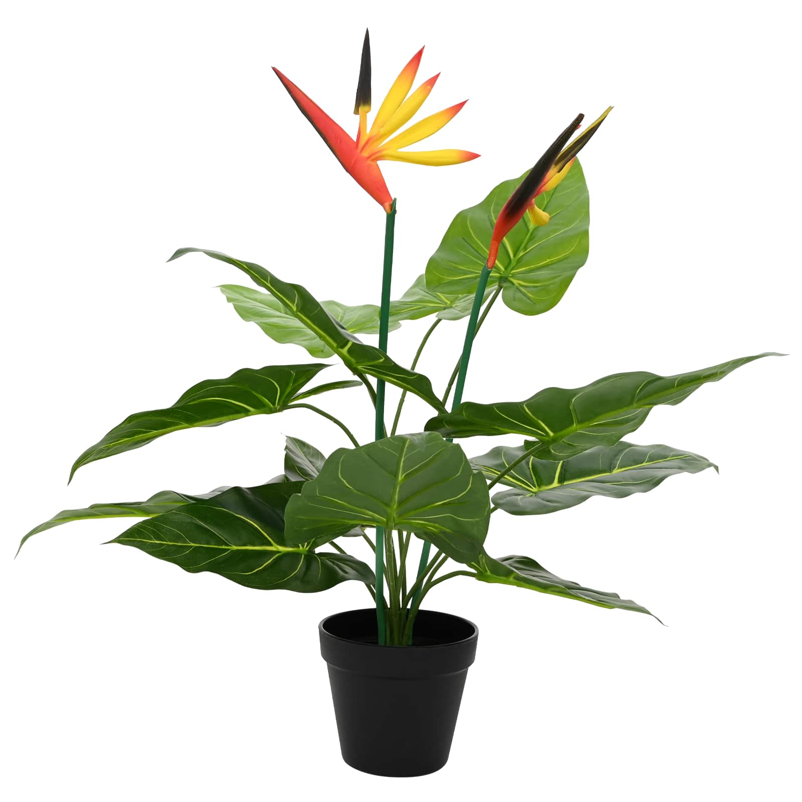 Umjetna Strelitzia Biljka Zelena 65 x 13 x 55 cm