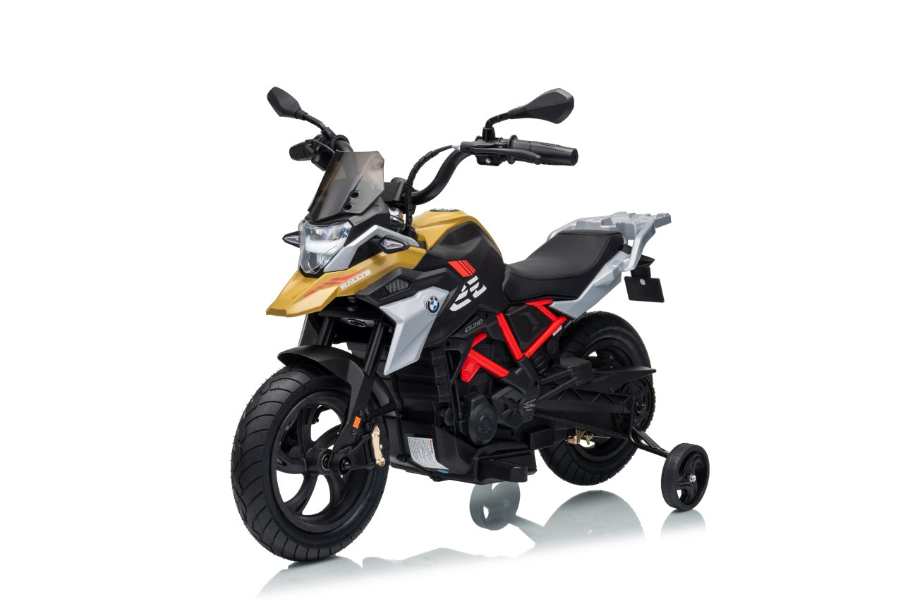Vehicle Motor BMW G310GS Champagne