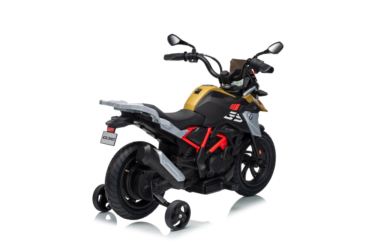 Vehicle Motor BMW G310GS Champagne