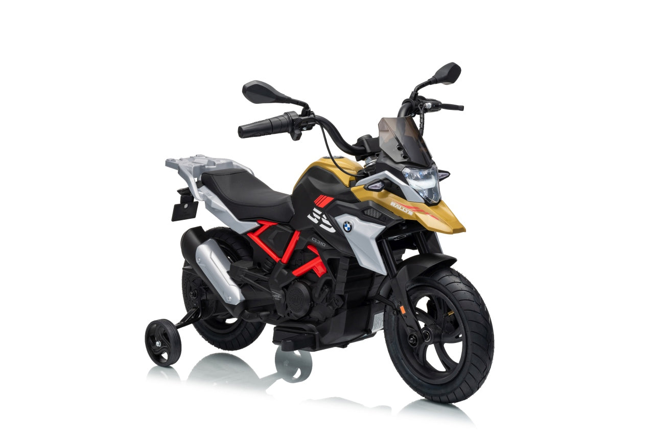Vehicle Motor BMW G310GS Champagne