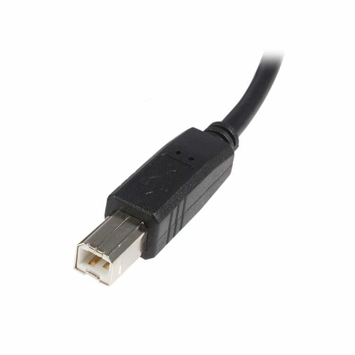 Kabel USB A u USB B Startech USB2HAB1M Crna