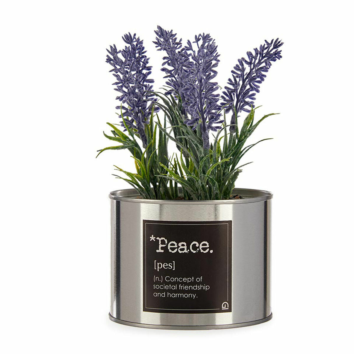 Ukrasna Biljka Ibergarden Metal Plastika Limenka Lavanda 10 x 18 x 10 cm (6 kom.)