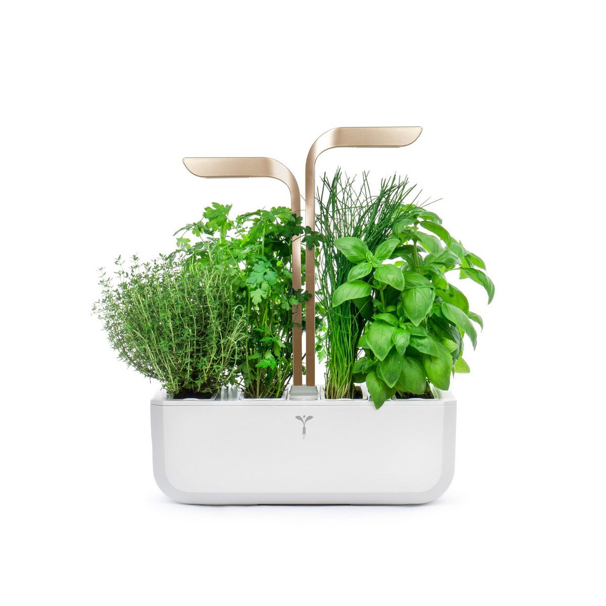Veritable® CONNECT Moonlight Gold Kučni Vrt