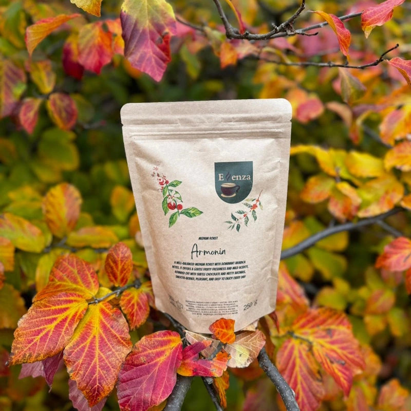 Essenza Armonia 150 g kava u zrnu