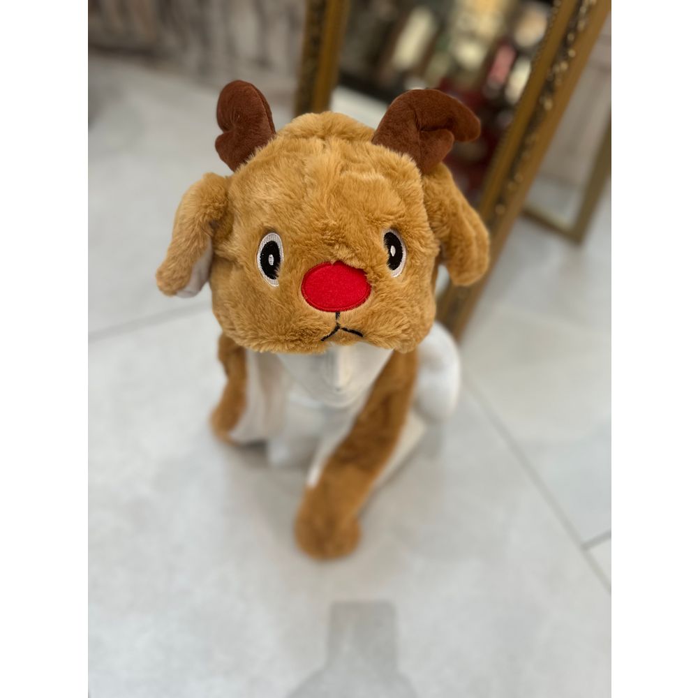 Kapa funny animals pumpica Sob