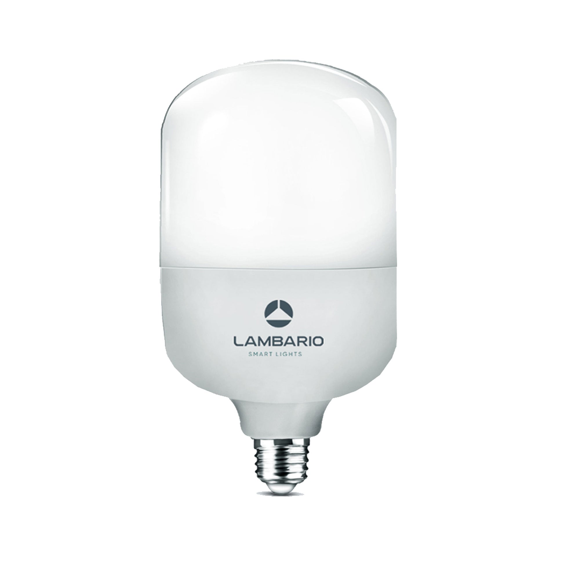 LED E-27 25-30W T80 6400K Lambario