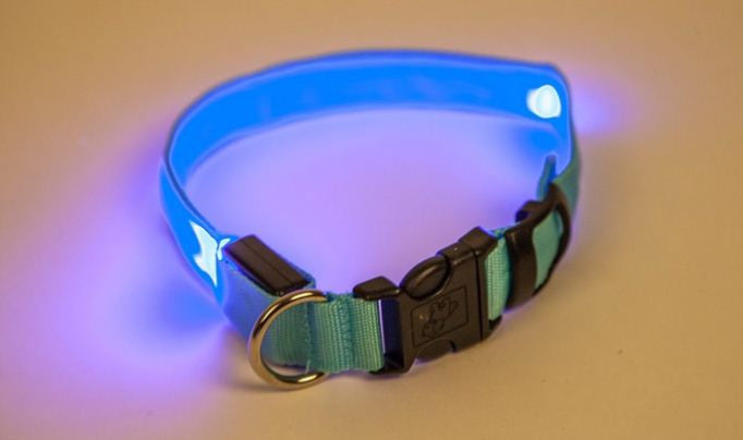 LED svítící obojek pro psy ve vámi zvolené velikosti